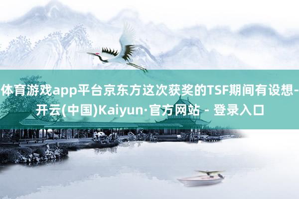 体育游戏app平台京东方这次获奖的TSF期间有设想-开云(中国)Kaiyun·官方网站 - 登录入口